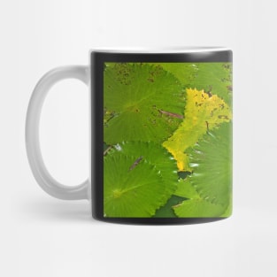 Green Mug